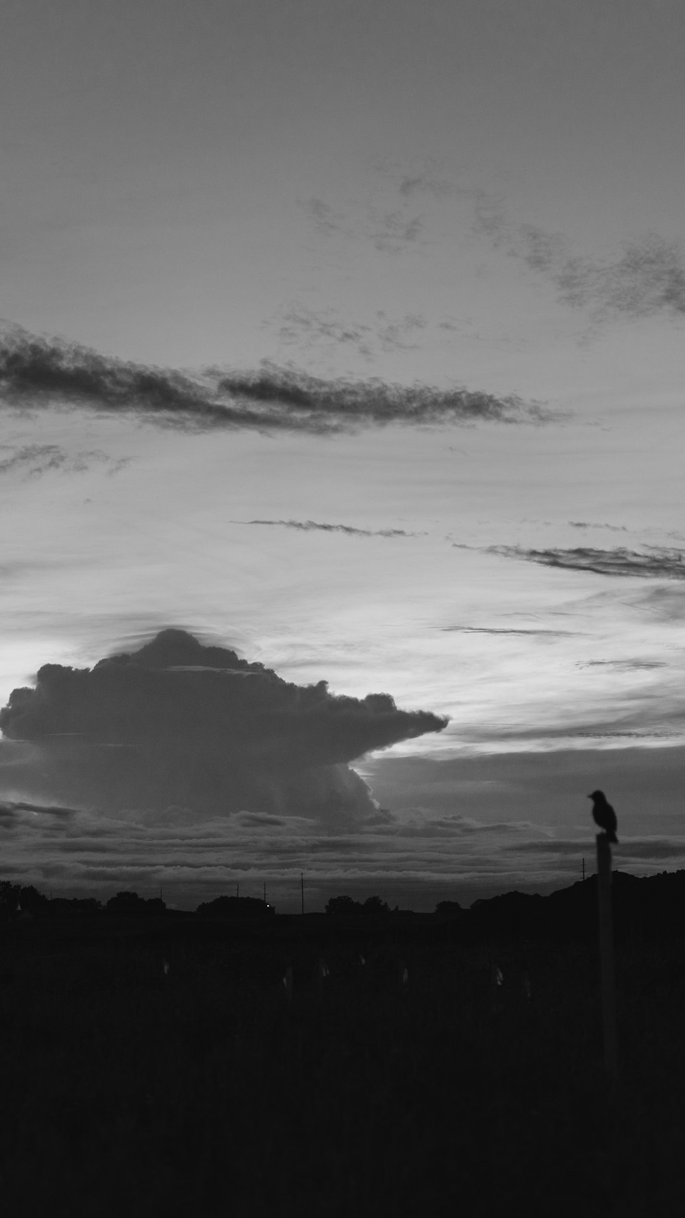 Silueta de la persona de pie en la formación rocosa bajo el cielo nublado durante el día