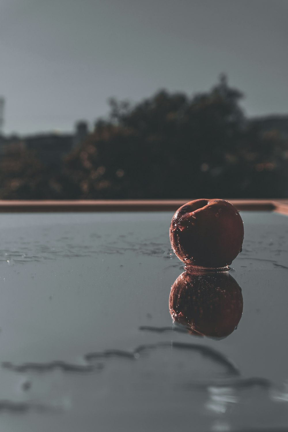 red ball on water during daytime