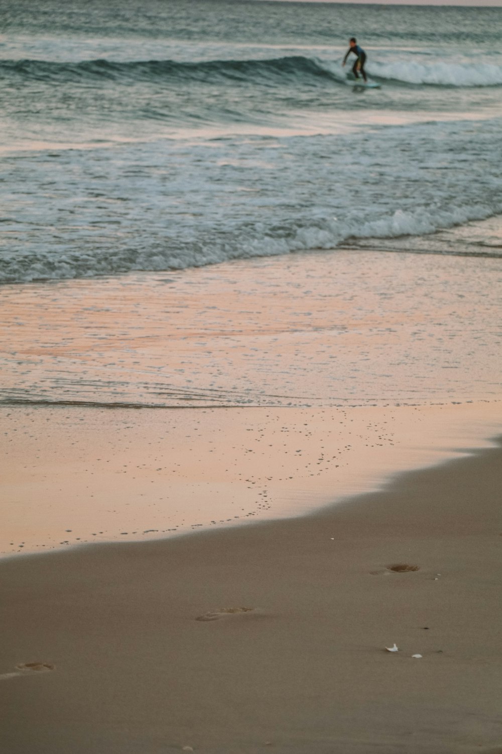 brown sand beach during daytime