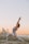 A woman is practicing yoga on a beach during sunset with a city skyline in the background. Her pose involves stretching her arms upward while one leg is bent forward and the other stretched back, creating a dynamic and balanced stance. The sky is a gradient of soft orange and blue, complementing the calm sea beside her.