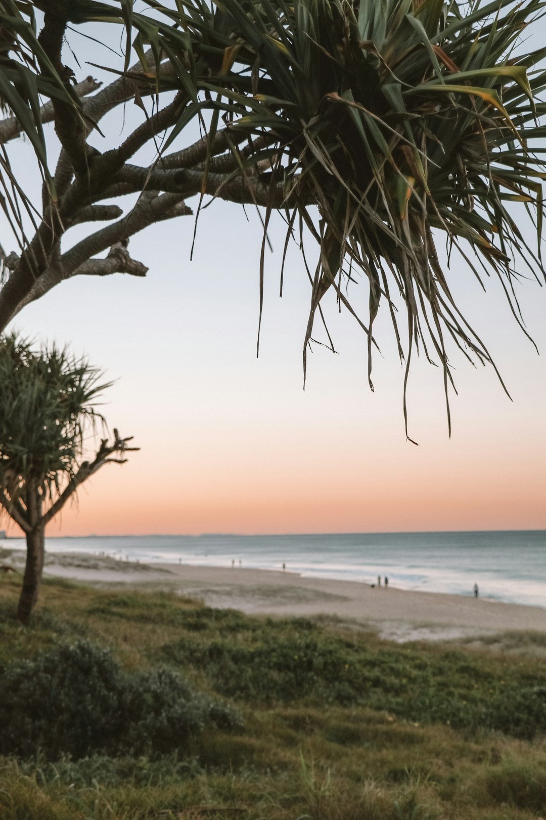 travelers stories about Beach in Gold Coast, Australia