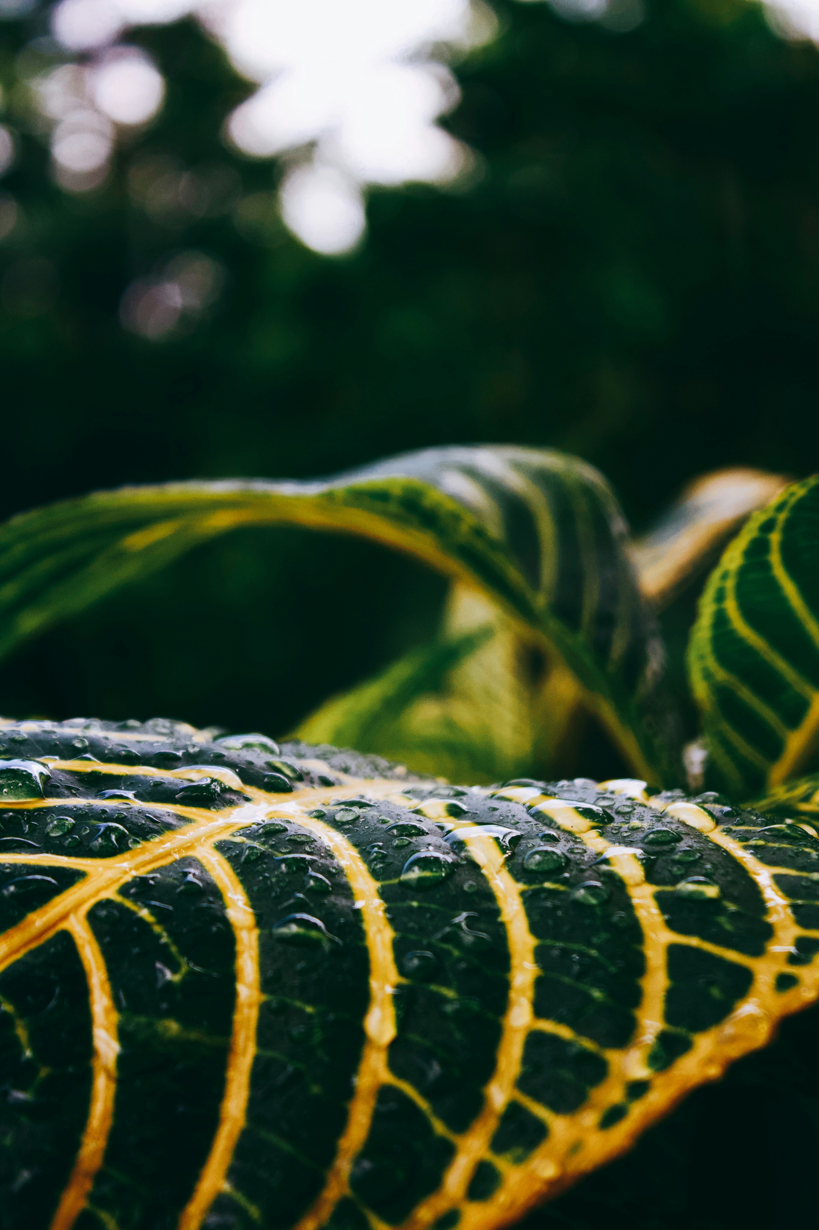 Photo by honeyyanibel