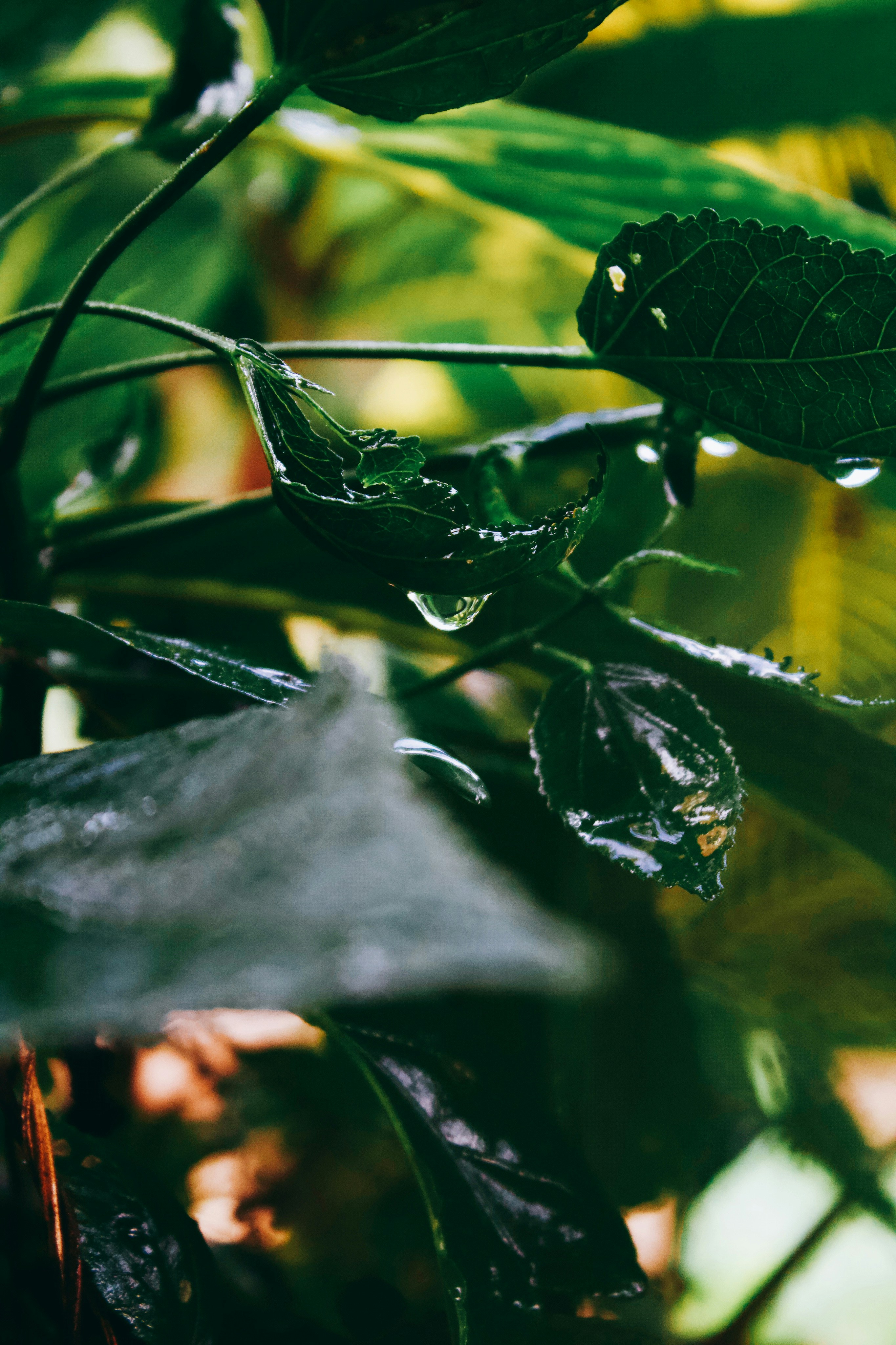 Photo by honeyyanibel