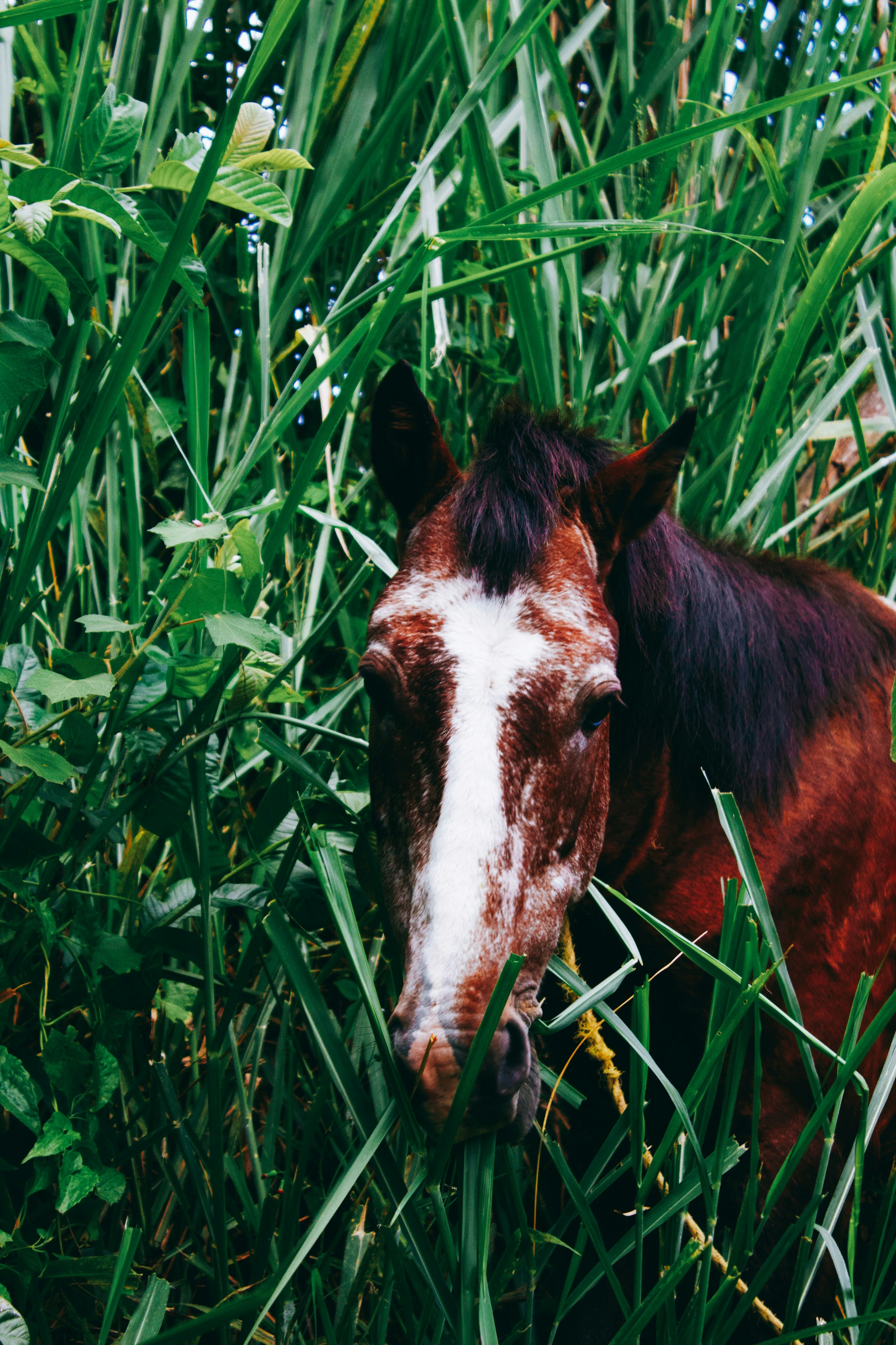 Photo by honeyyanibel