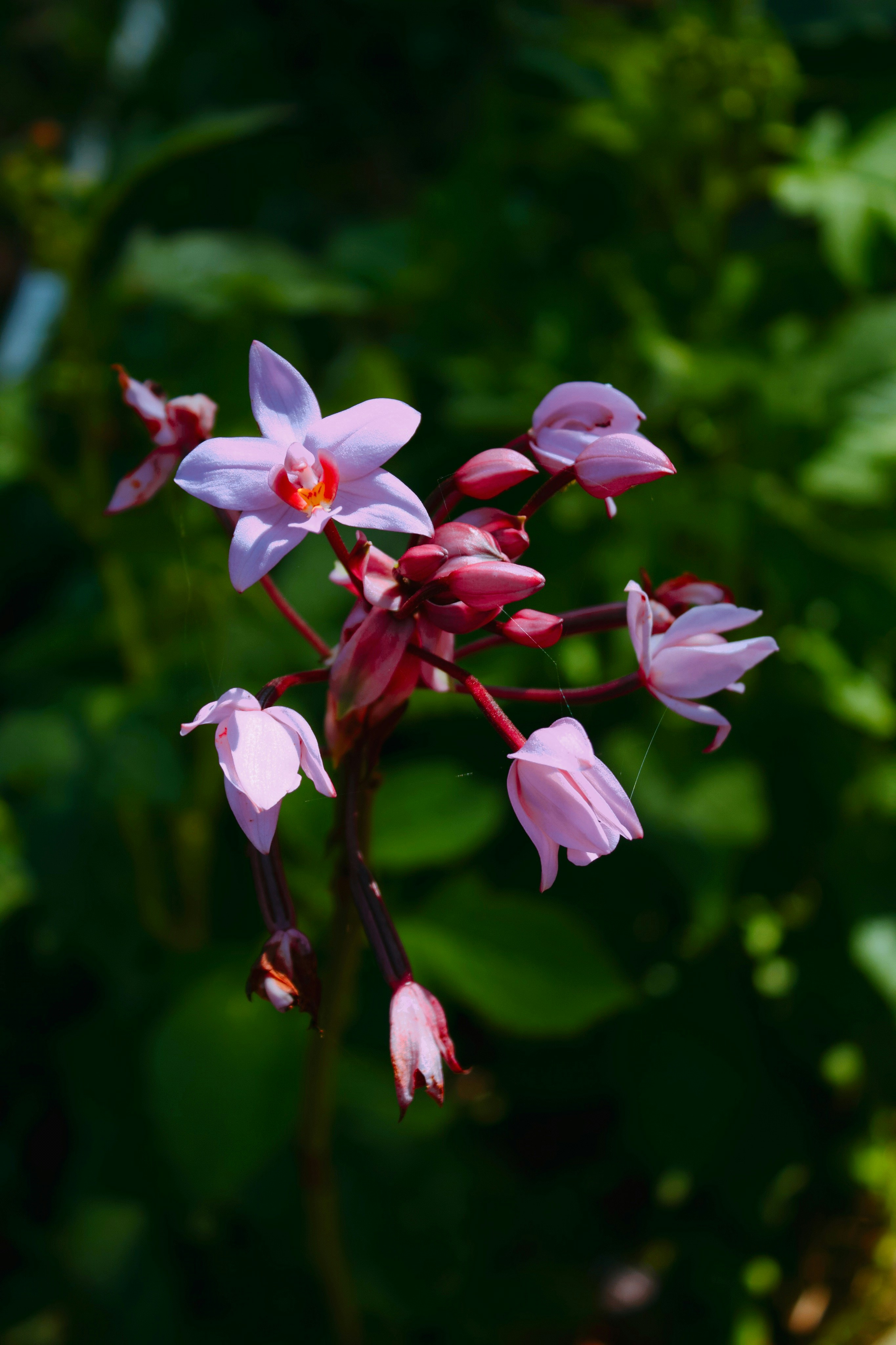 Photo by honeyyanibel