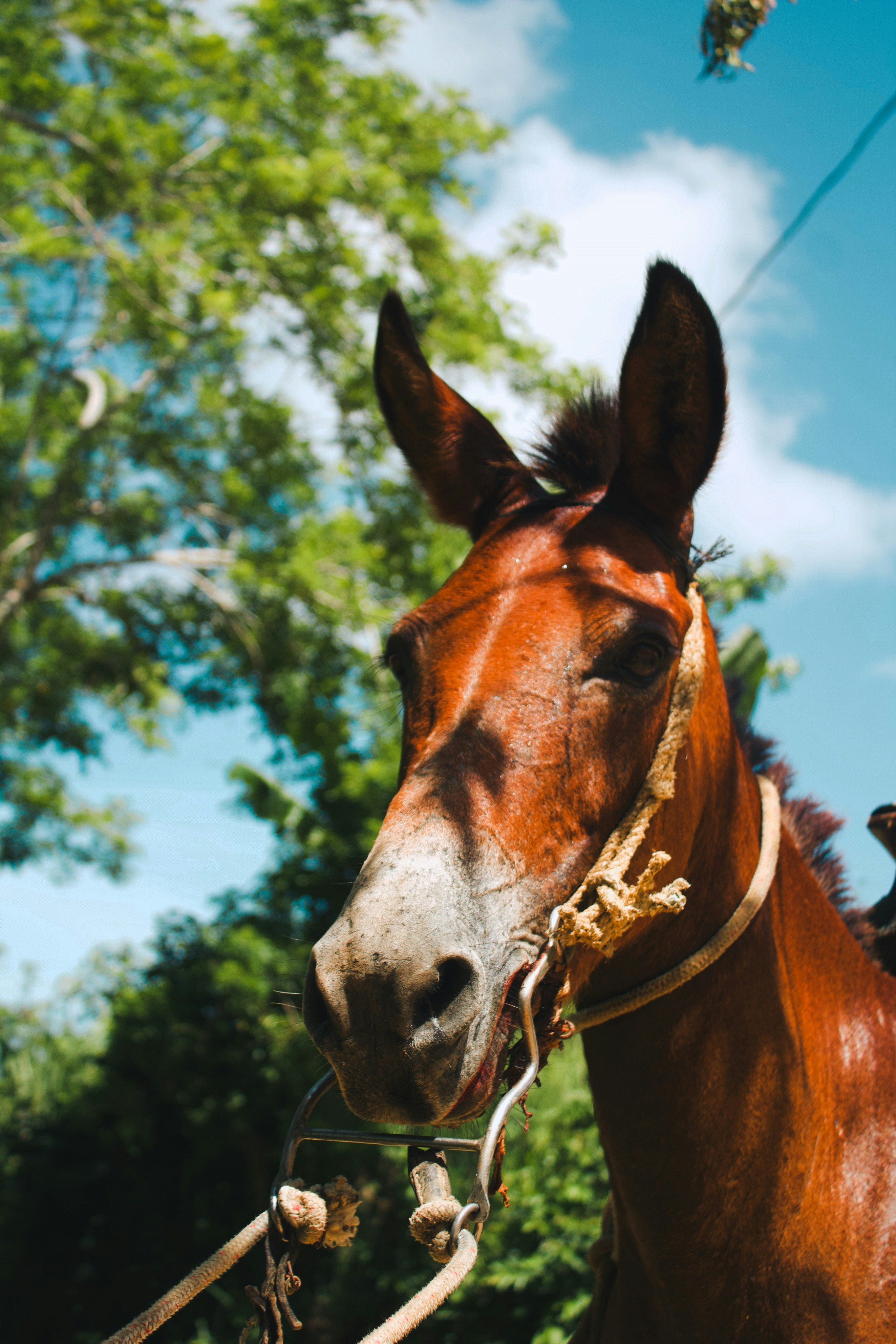 Photo by honeyyanibel