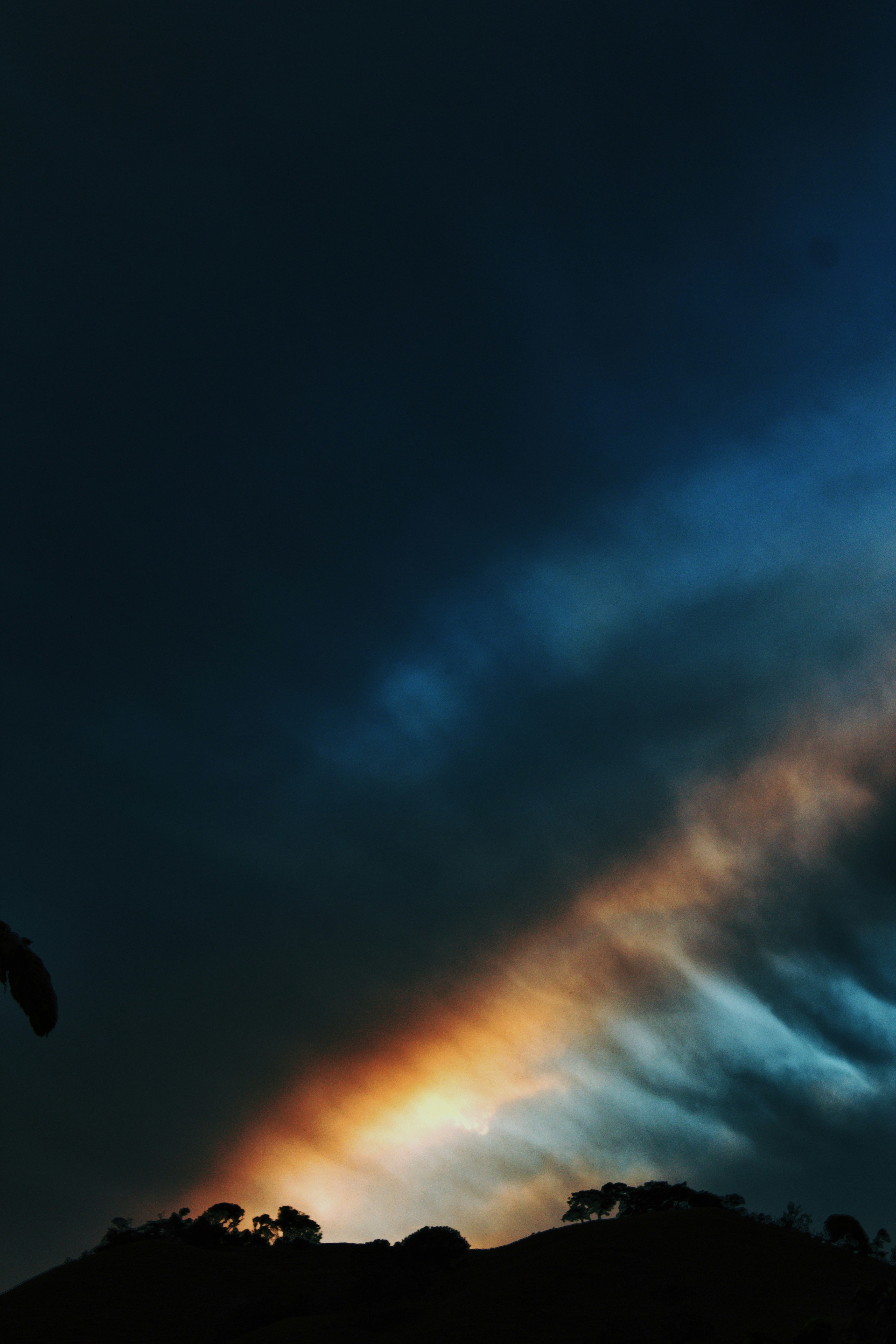 Photo by honeyyanibel