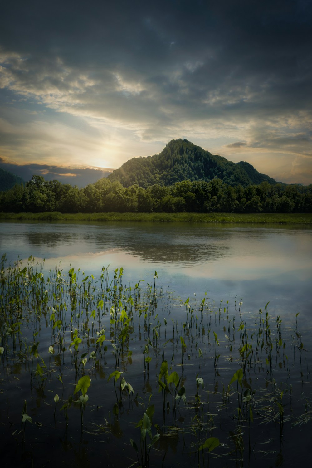 green grass near lake and mountain during daytime