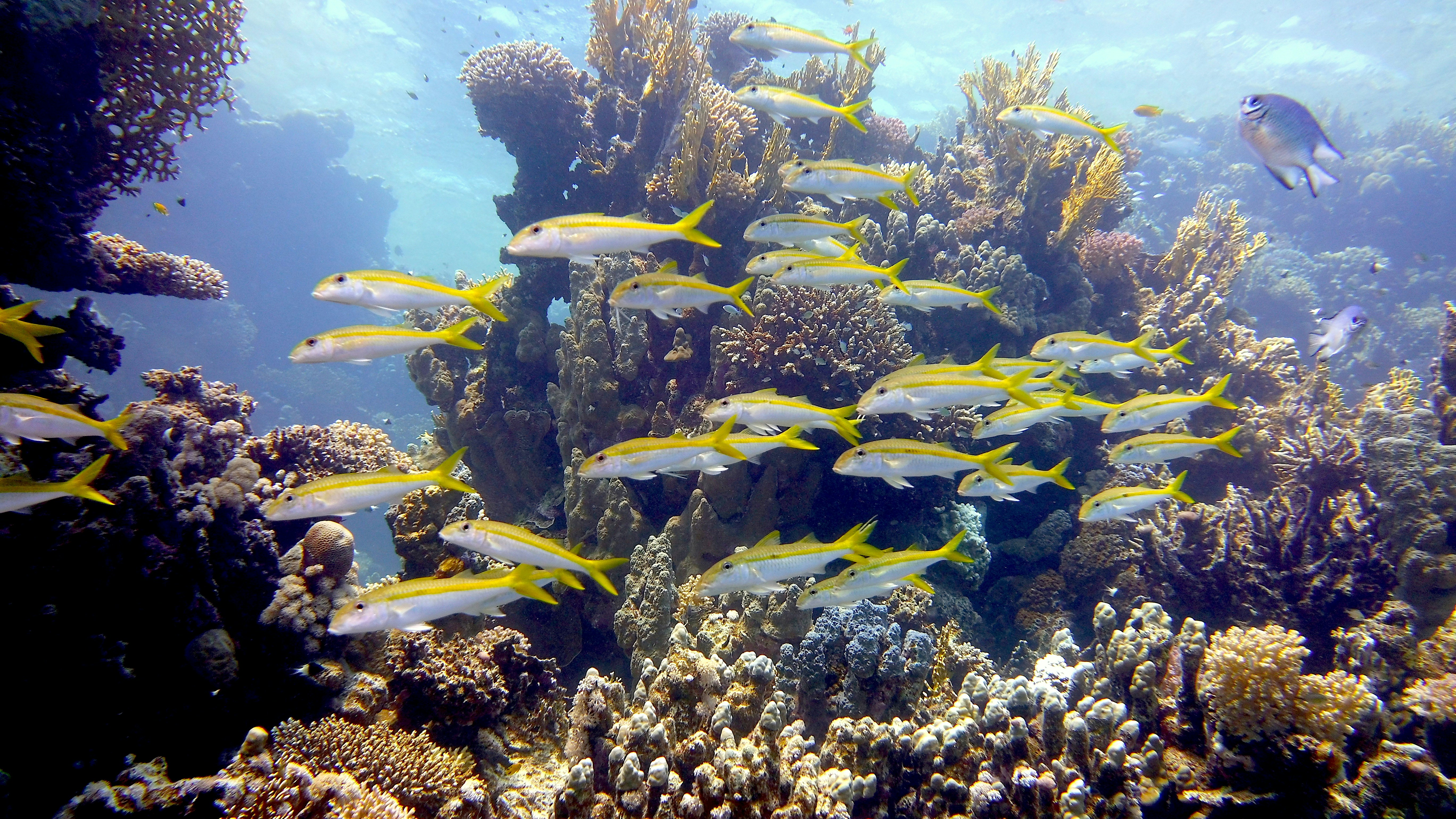 Photo by hotspur1705