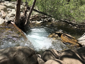 A clear stream cascading down rocky hills with sunlight glinting off fresh water droplets.