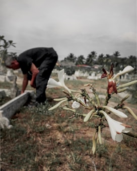 A close-up view of a white flower against the backdrop of a person tending to a grave in a cemetery setting. The flower appears sharp and detailed, while the background, including the person, is slightly out of focus. The sky is overcast, adding a somber atmosphere to the scene.