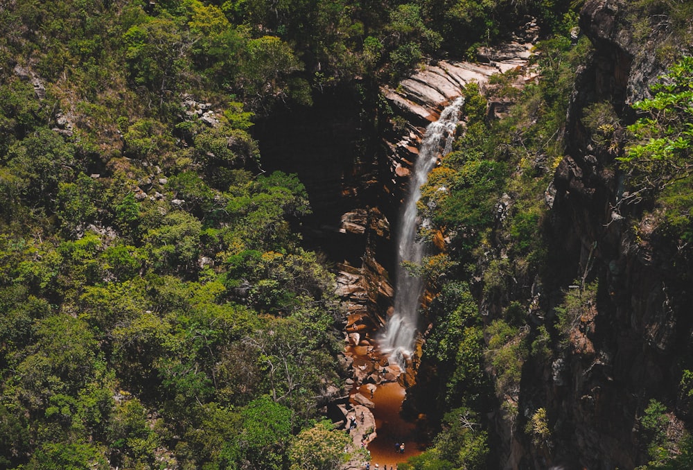 waterfalls in the middle of green trees