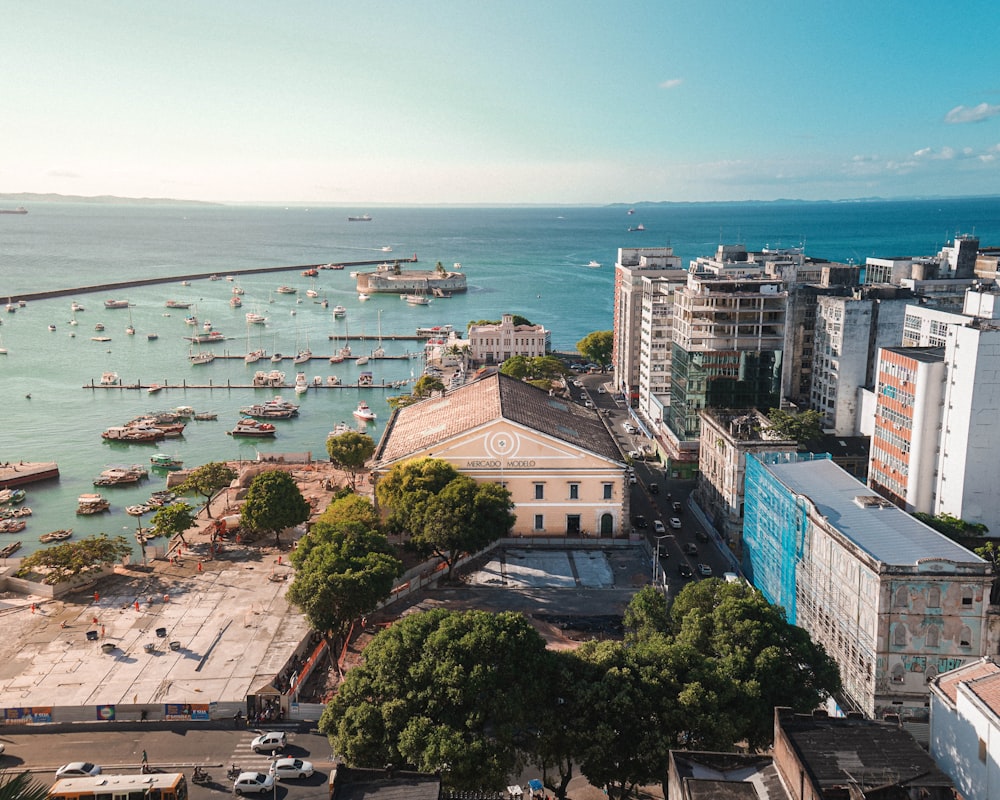 aerial view of city buildings near body of water during daytime