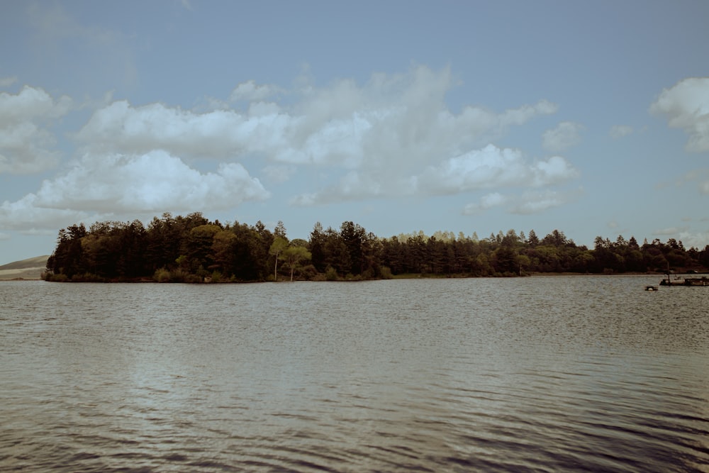 green trees beside body of water under white clouds and blue sky during daytime