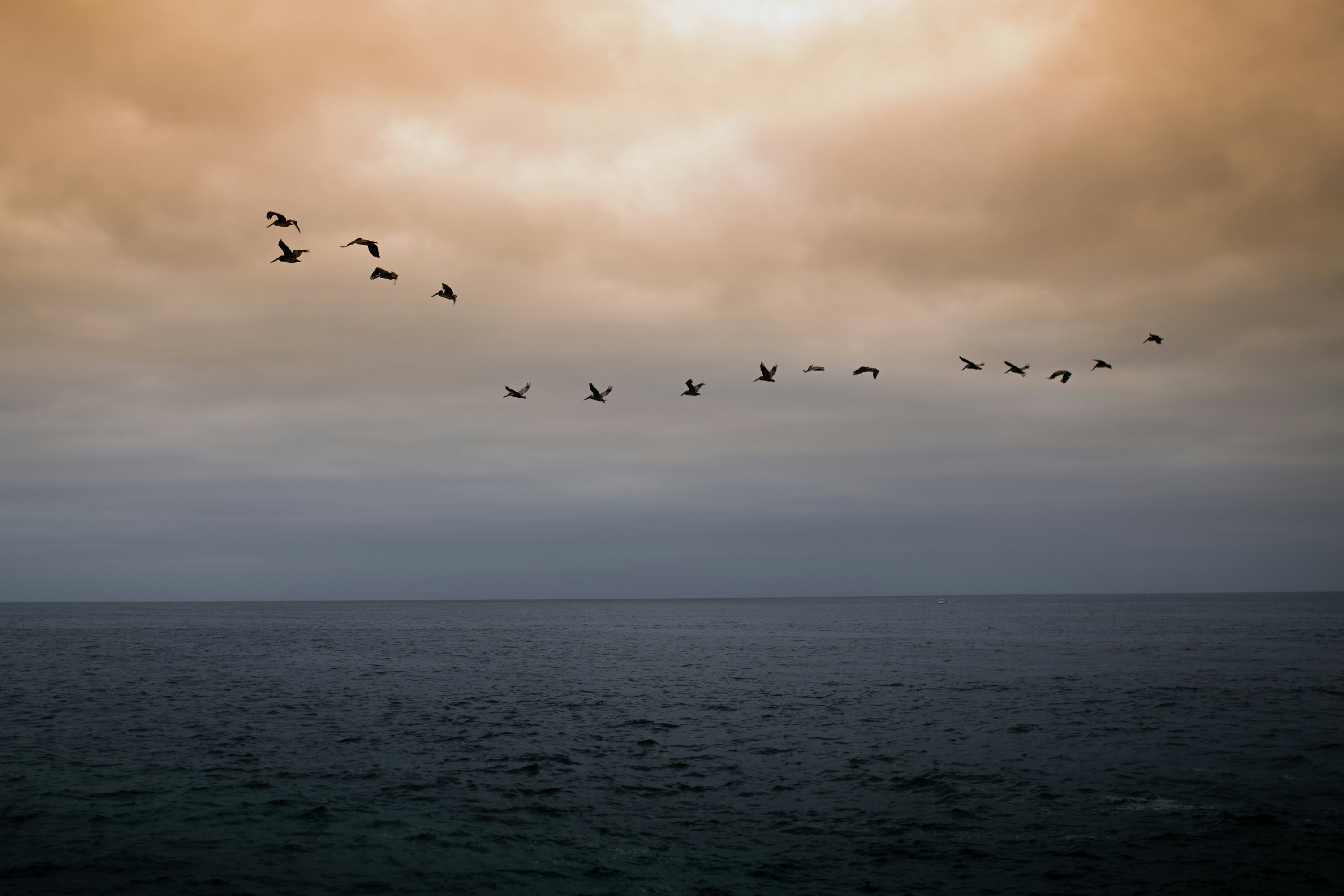 Photo by claudialam