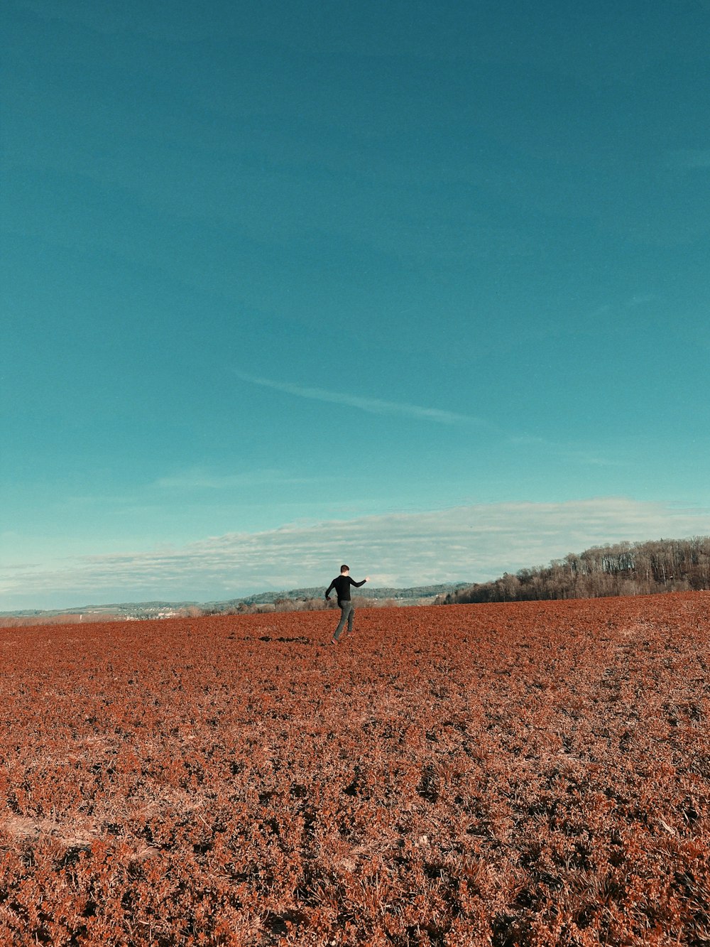 person walking on brown field during daytime