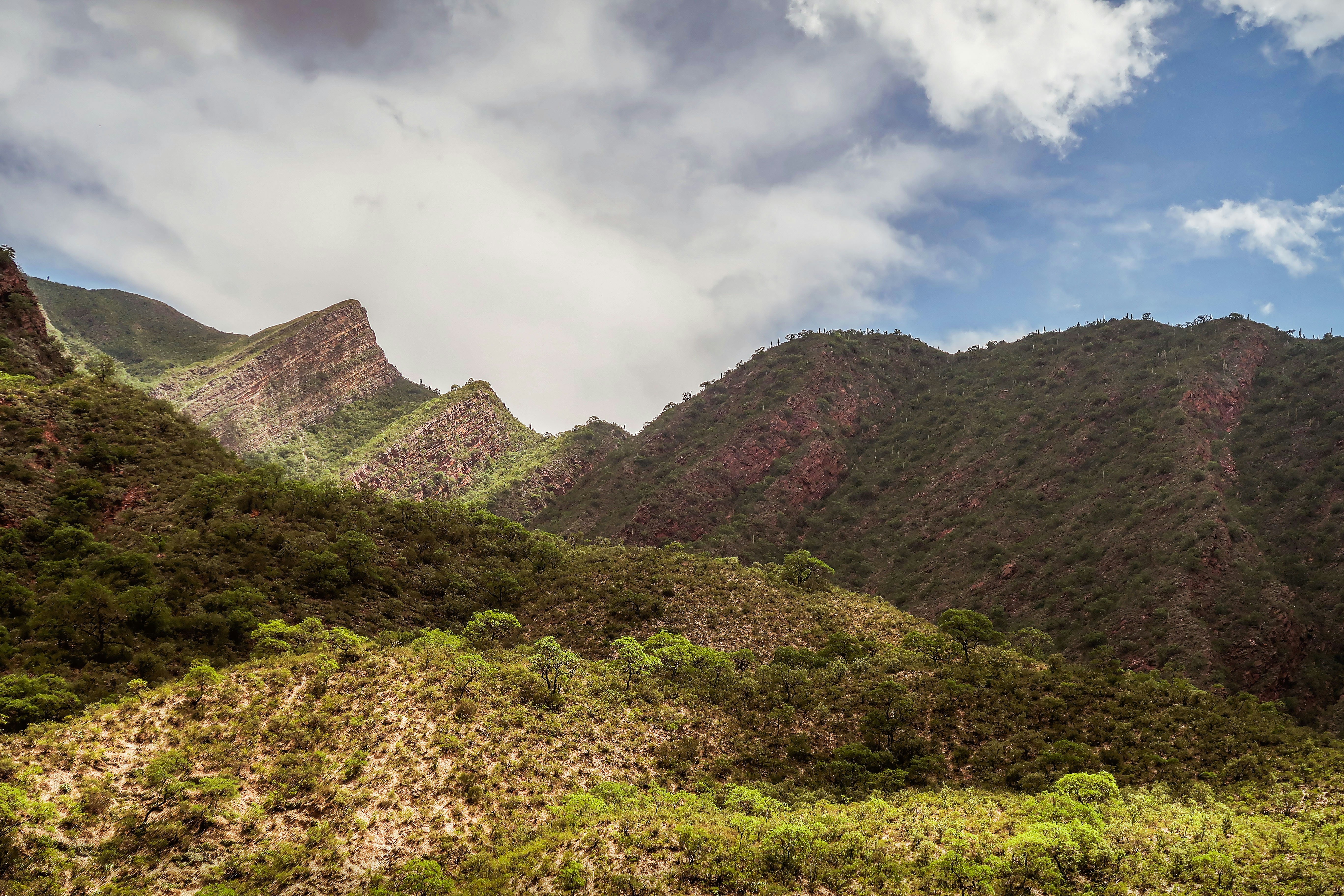 Photo by argentinanatural