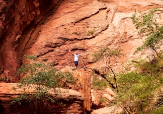 A person stands triumphantly on a large rock formation surrounded by rugged red cliffs and sparse greenery. The scene conveys a sense of freedom and adventure as the individual holds their arms outstretched against the textured cliff backdrop.