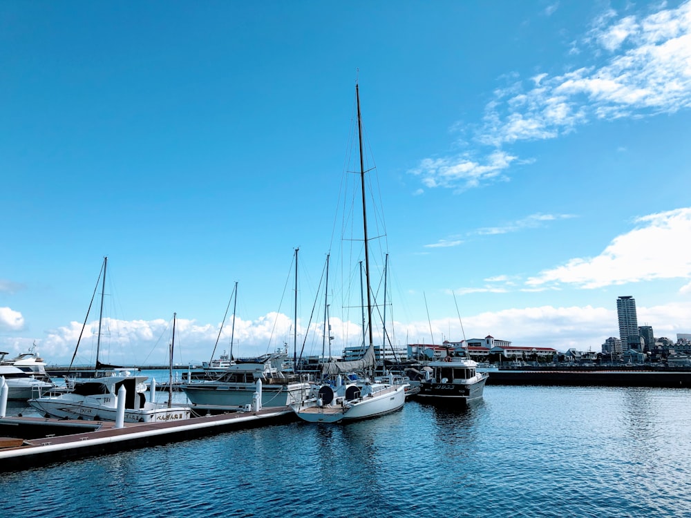 white and blue boat on dock during daytime