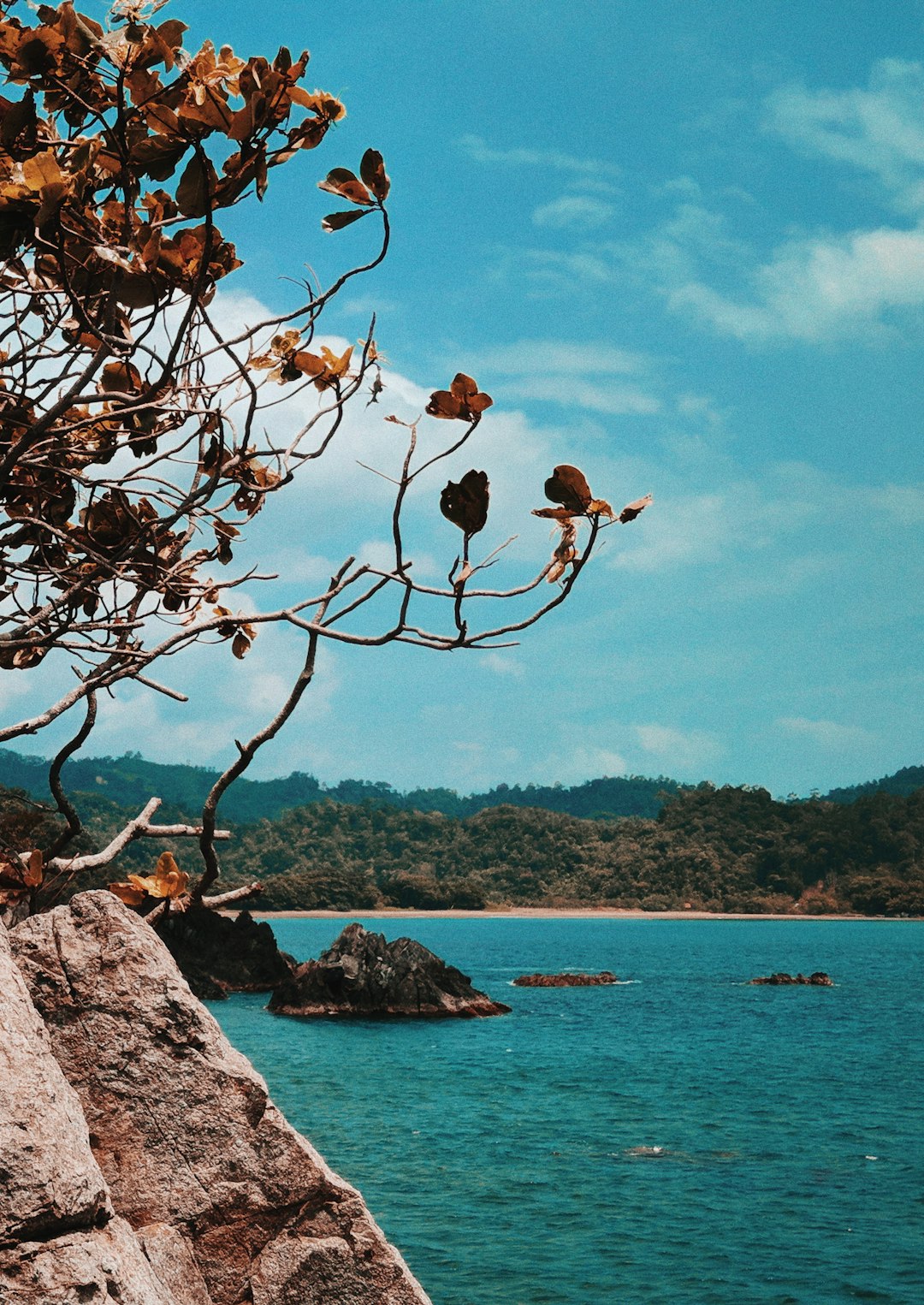 travelers stories about Cliff in Pantai Karang Bebai, Indonesia