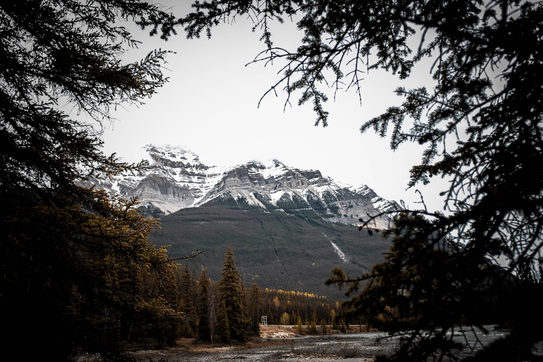 Hill station photo spot Canadian Rockies Alberta