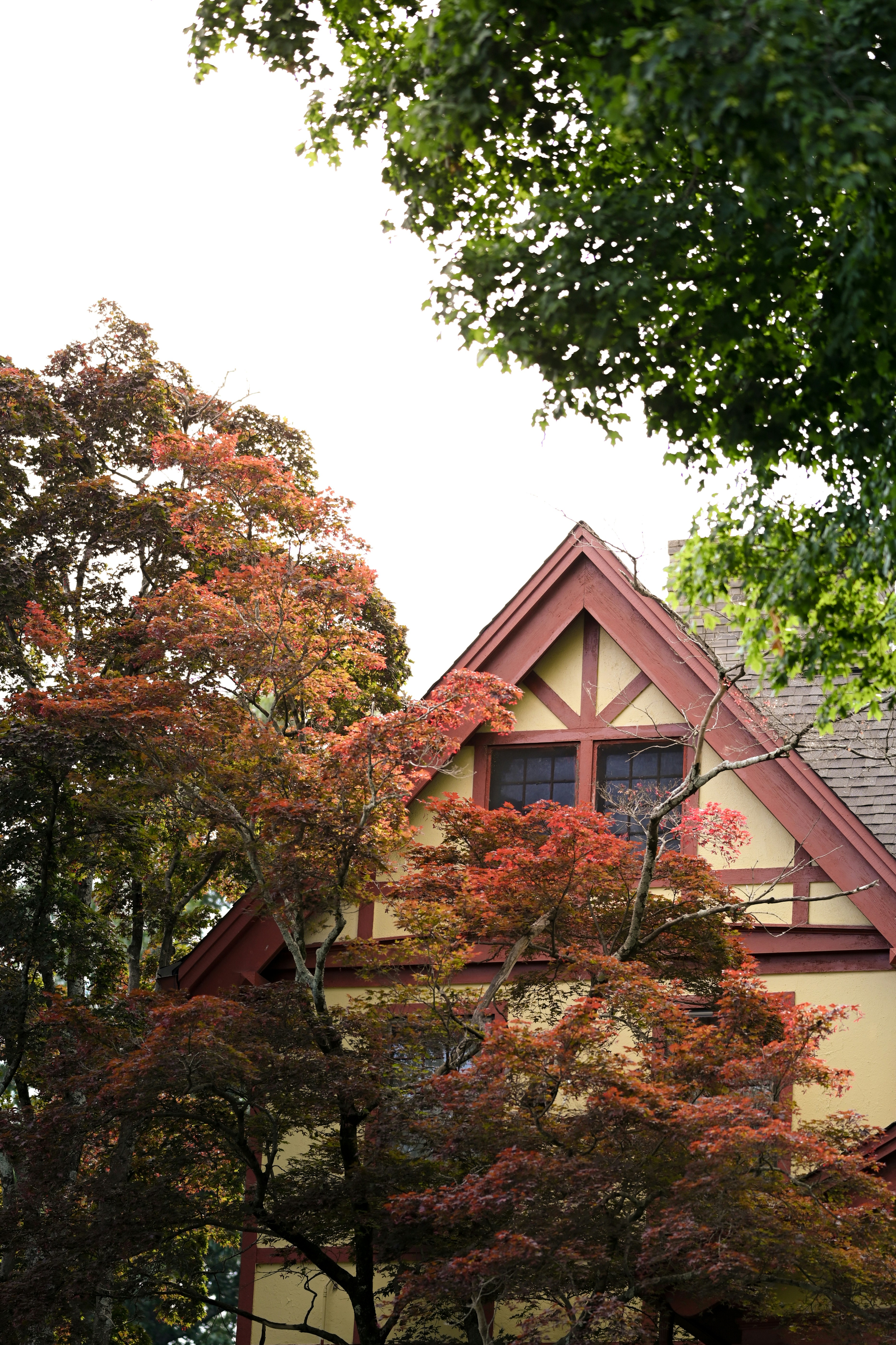 Photo by nathananderson