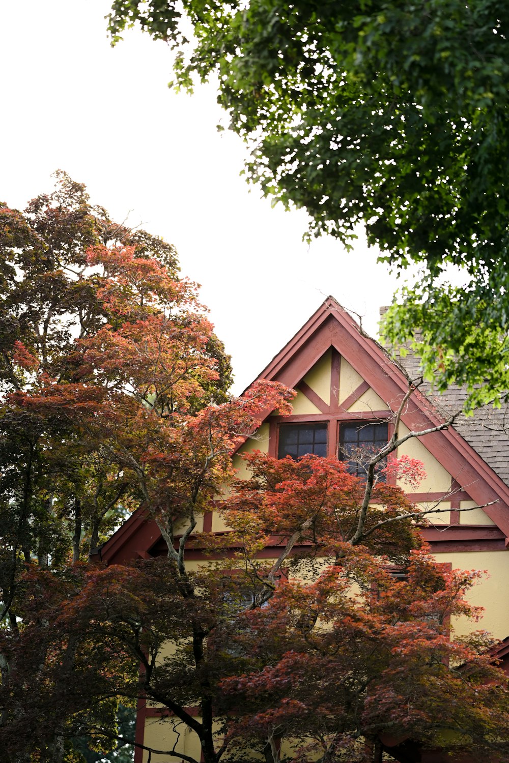 brown and white house near green trees during daytime