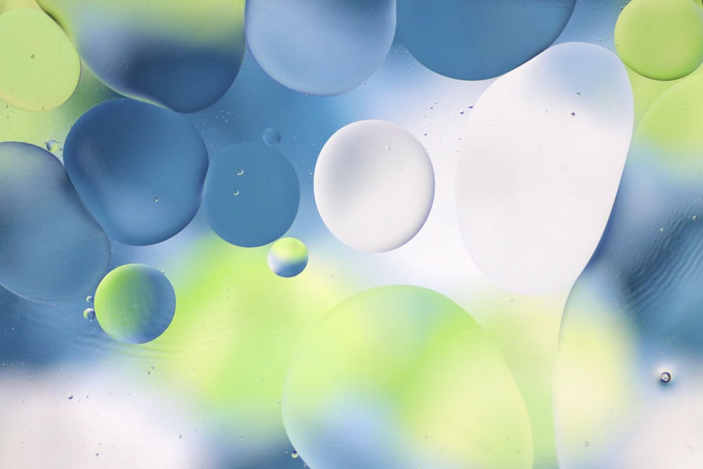 blue and white balloons in close up photography