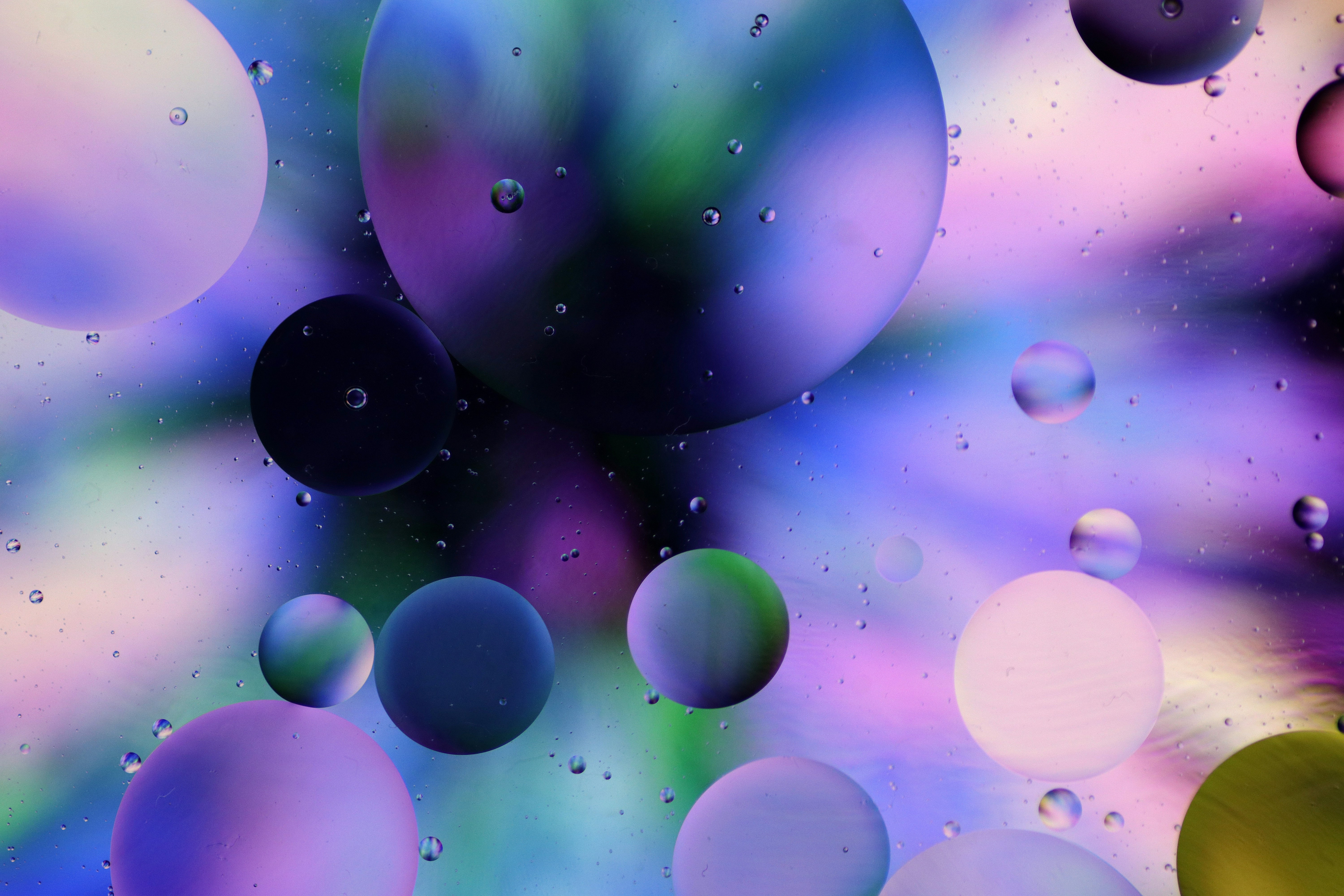 Photo by createwithdippyaman