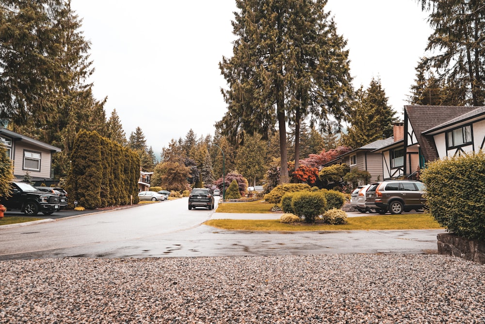 black car parked near green trees during daytime