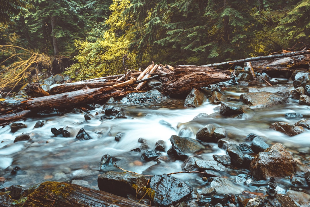 Mountain river photo spot Norvan Falls Trail Whistler