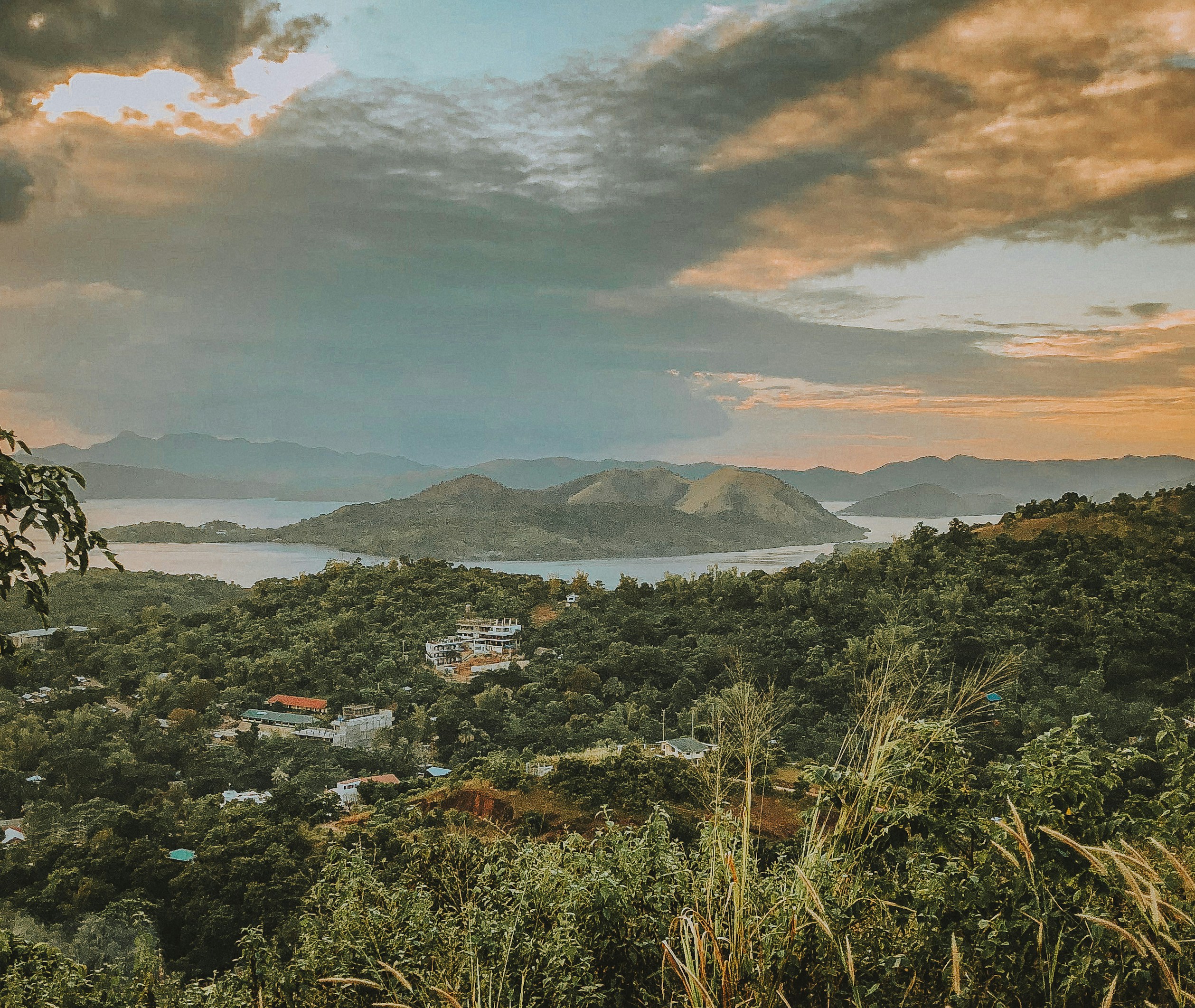 Photo by carlaforniagirl