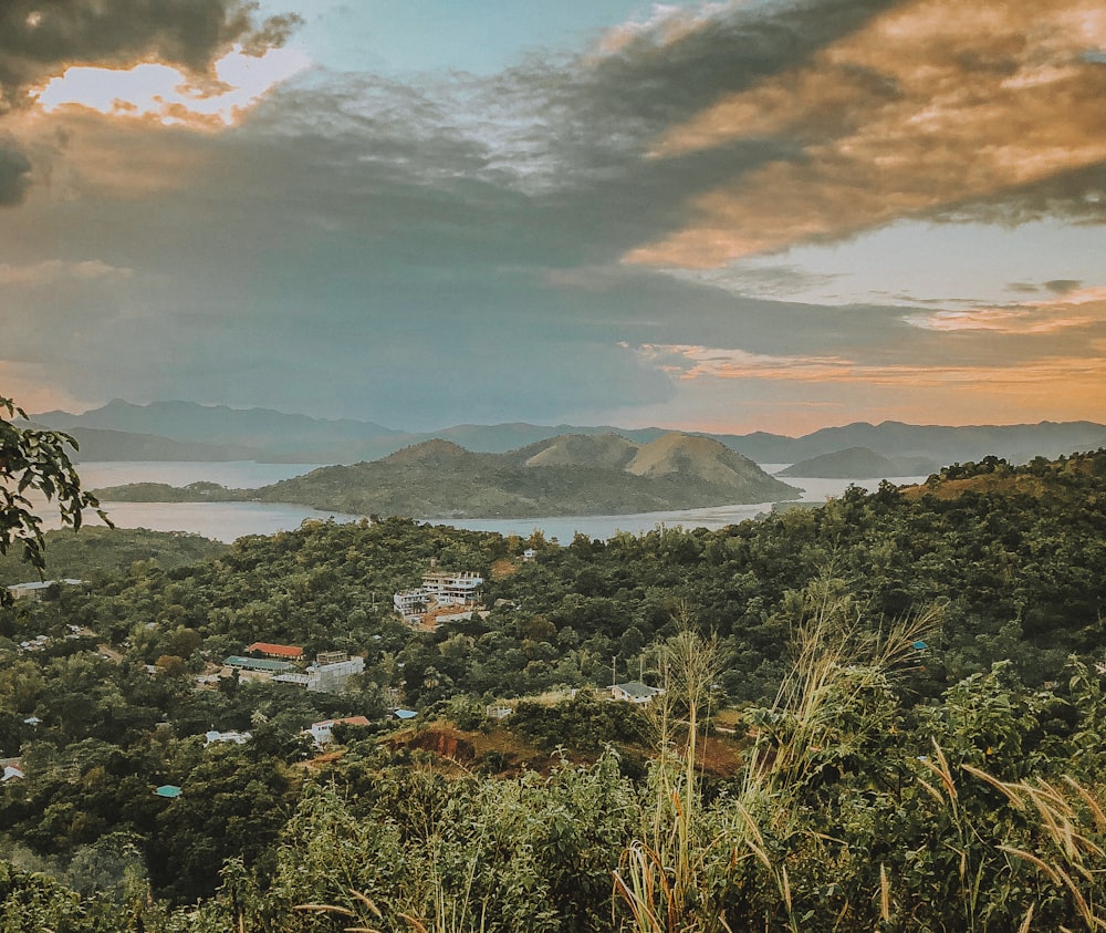 green trees and mountains under cloudy sky during daytime