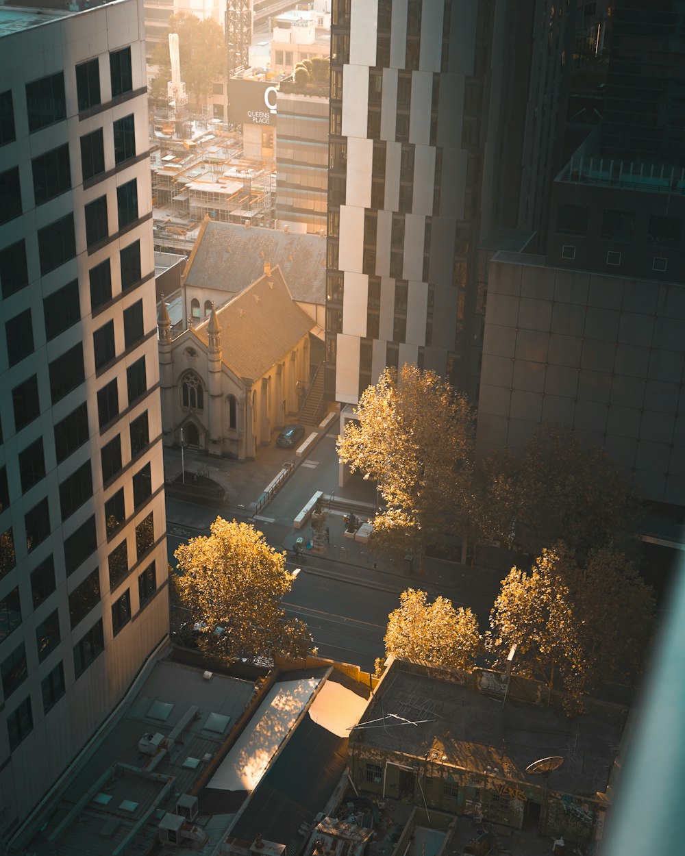 green trees near brown concrete building during daytime