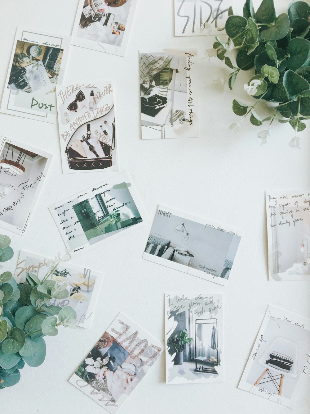 photos on white wall with green leaves