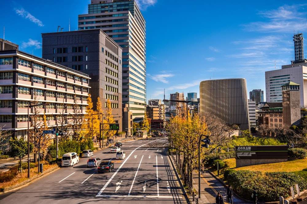 cars on road near high rise buildings during daytime