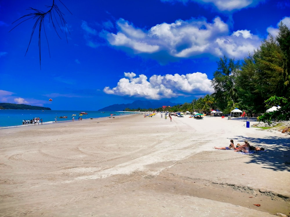 people on beach during daytime