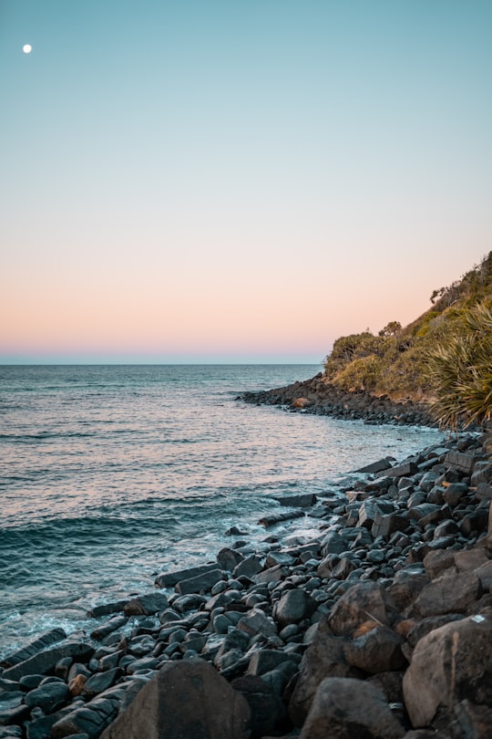 rocky shore with rocks and green grass under blue sky during daytime in Burleigh Heads QLD Australia