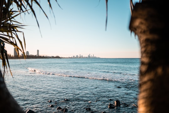 people on beach during daytime in Burleigh Heads QLD Australia