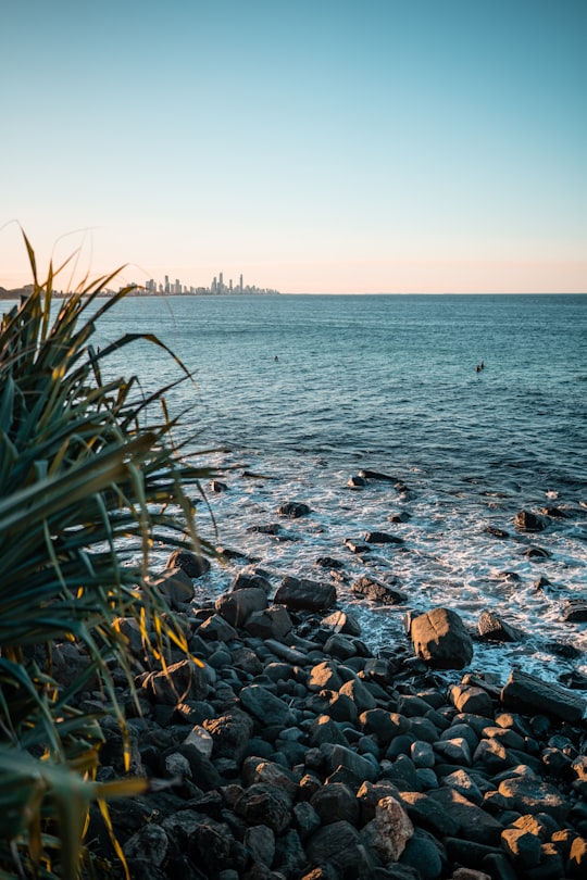 green grass near body of water during daytime in Burleigh Heads QLD Australia