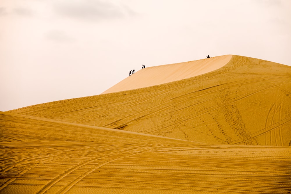 people walking on sand dunes