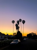 Sunset view over a peaceful Central Florida suburban street lined with palm trees.