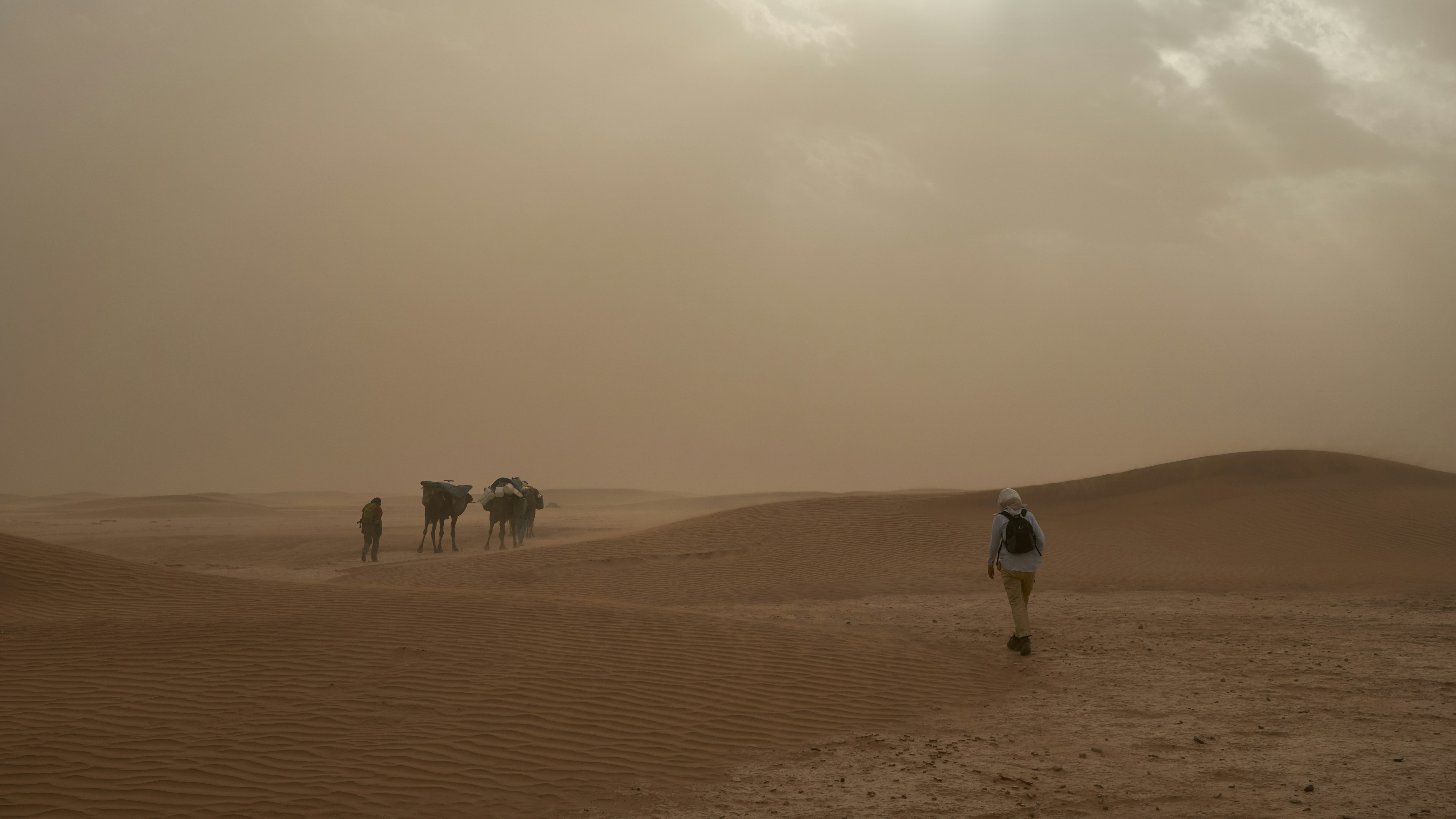 Photo by wolfgang_hasselmann