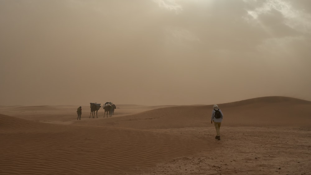 people riding camel on desert during daytime