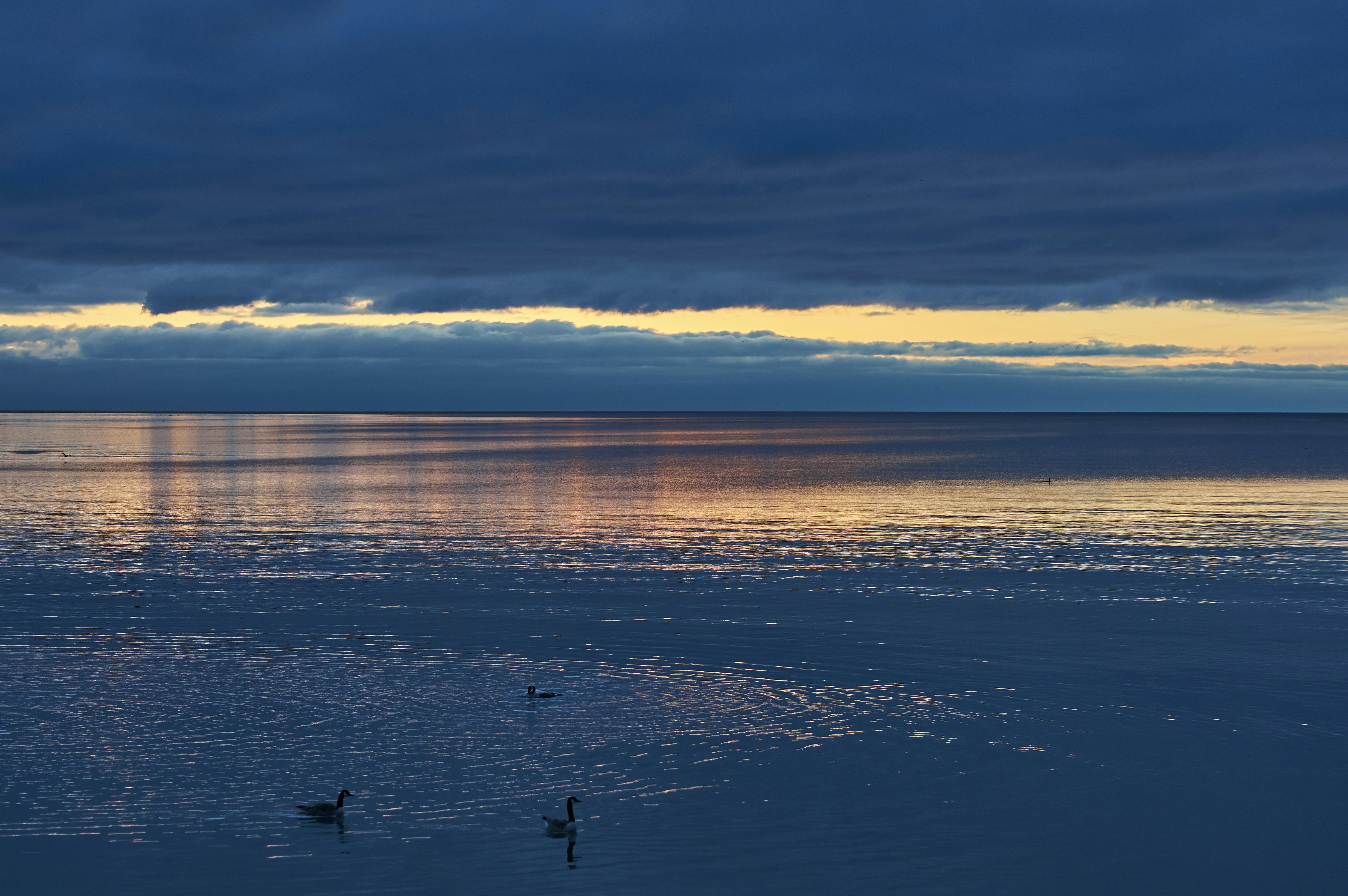 Photo by wolfgang_hasselmann