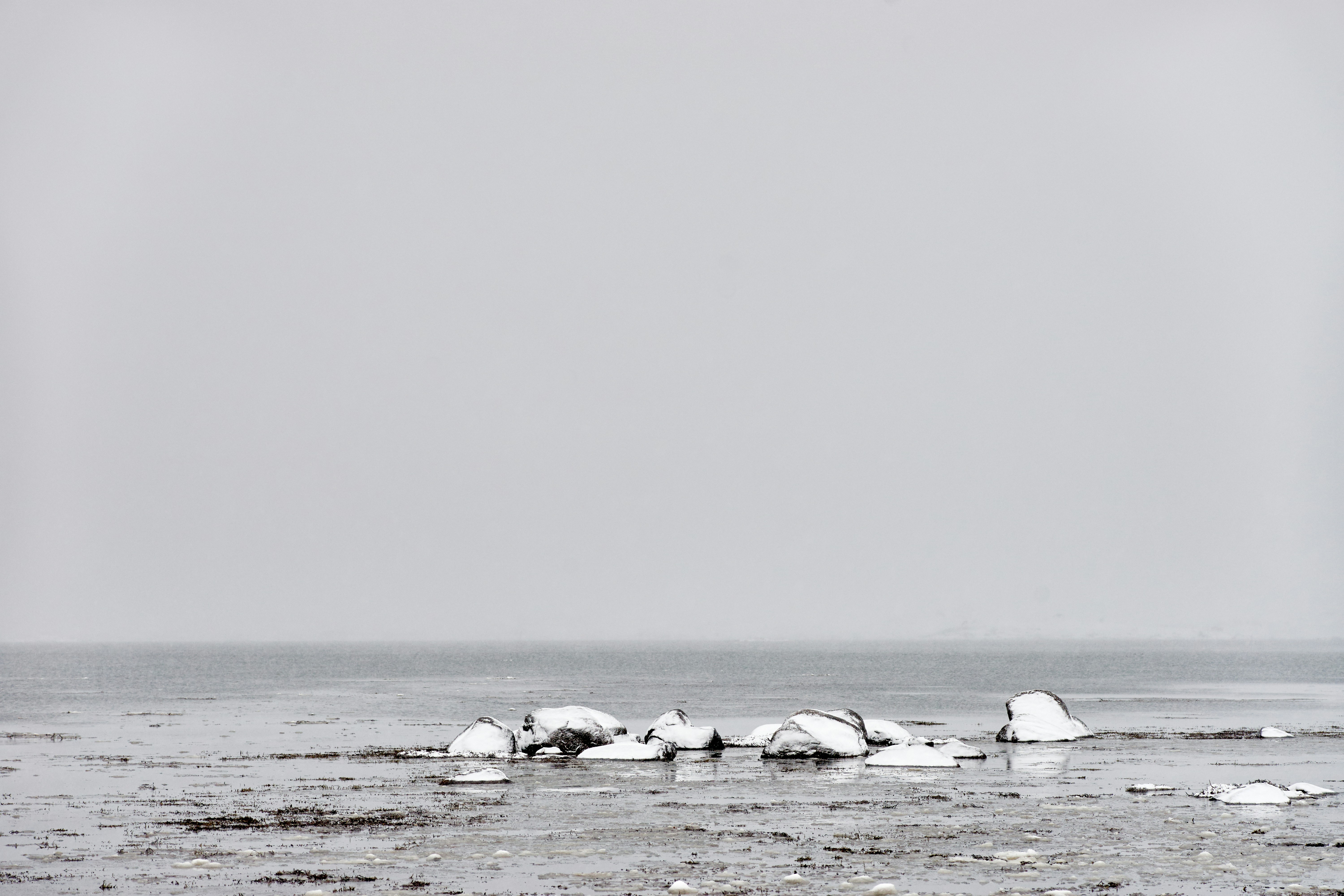 Photo by wolfgang_hasselmann