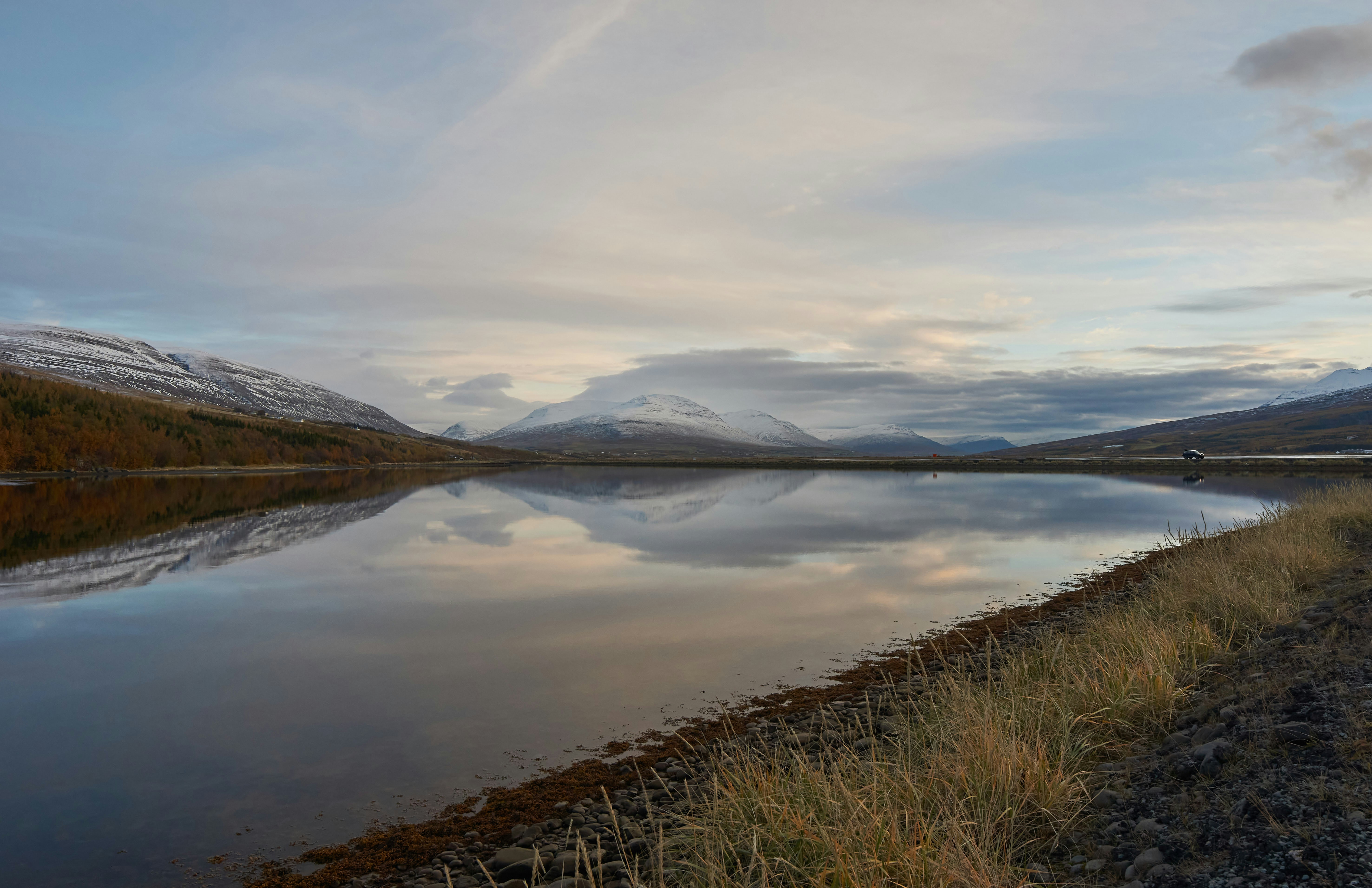 Photo by wolfgang_hasselmann