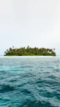 green trees on island surrounded by water during daytime