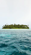 green trees on island surrounded by water during daytime