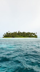 A small tropical island filled with lush green palm trees surrounded by turquoise ocean waters under a cloudy, light blue sky.